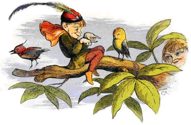 Poor little birdie, Boyle, Richard (186?)